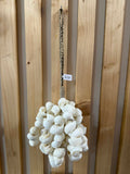 Décoration coquillages épais